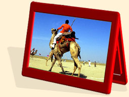 camel safari tour